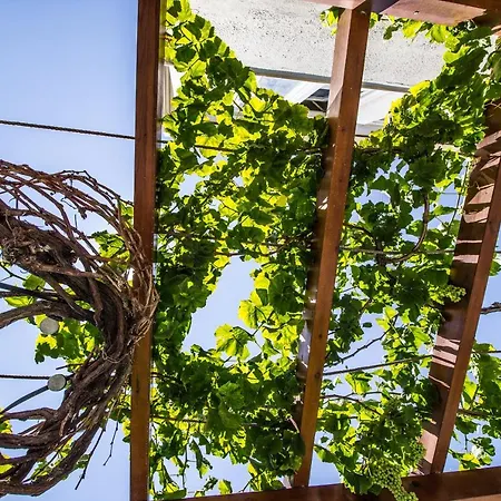 Pensjonat Galaxy Santorini Fira (Santorini)