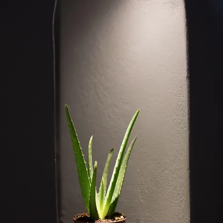 Pensjonat Galaxy Santorini 4*