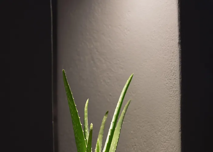 בית הארחה Galaxy Santorini 4*